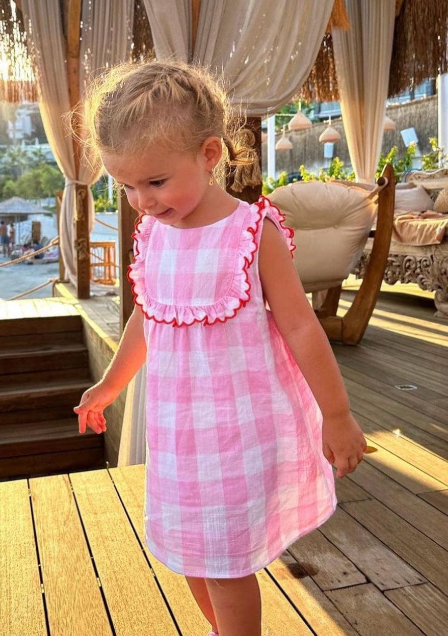 Piping Short Sleeve Pink Gingham Dress for Girls